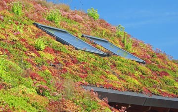 East Tilbury living roof systems